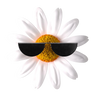 logo of Amallita | Italian fashion brand